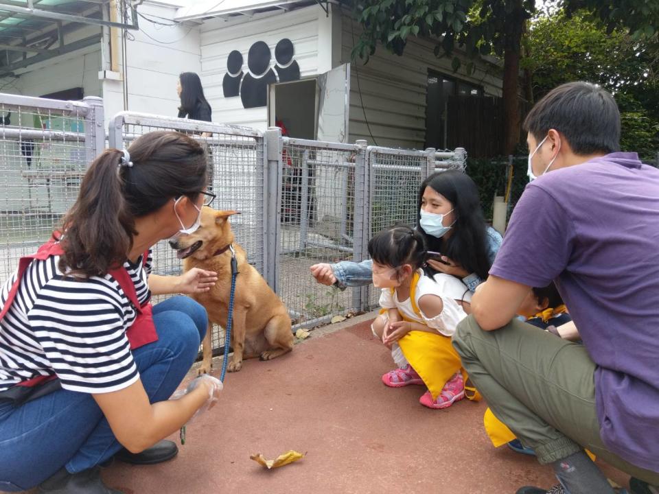 新北市生命教育園區的毛寶貝，傳遞溫暖陪伴特教慢飛天使們。   圖：新北市動保處提供