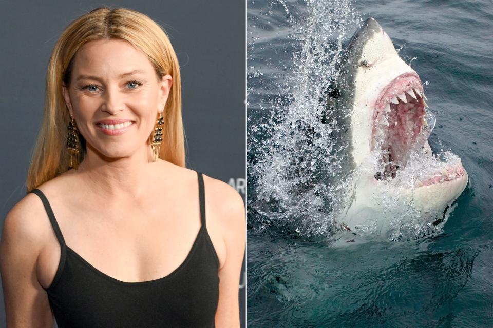 Elizabeth Banks; Great White Shark Emerging From the Water