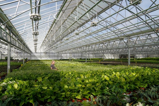 House plants being inspected