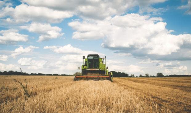 Agriculture Operations Outlook: High Food Demand Drives Resilience