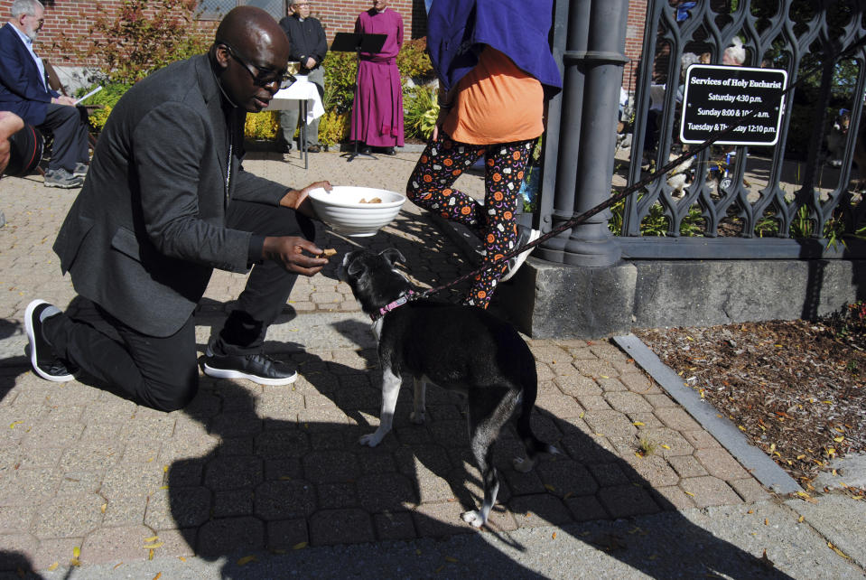 El reverendo Jean Beniste, un inmigrante haitiano, da un premio a un perro durante el evento Bendición de Animales realizado en el jardín de la Iglesia Episcopal St. Paul, en Concord, Nueva Hampshire. (G. Jeffrey MacDonald vía AP)