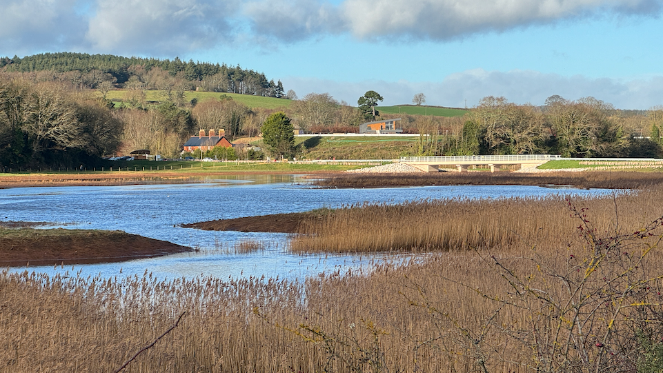 The river Otter