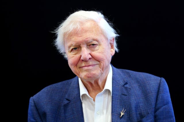 David Attenborough 