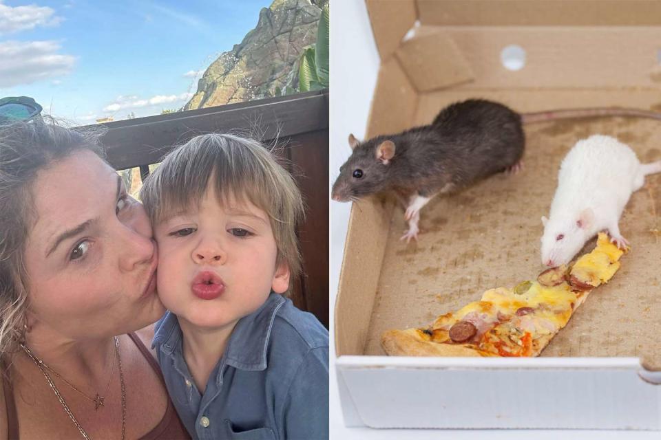 <p>jennabushhager/Instagram; Getty</p> Jenna Bush Hager and son Hal (L), rat with pizza (R)