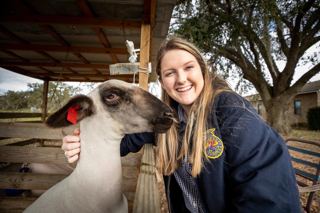 Bartow High School FFA member Katie Stokes with her lamb, Miranda Lambert, at her home in Fort Meade. Stokes is raising a pig and a lamb for the annual Youth Fair.