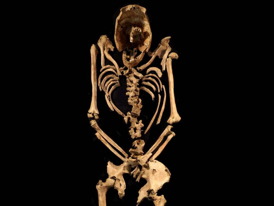 The remains of the man’s skeleton found in Fenstanton in Cambridgeshire (PA)