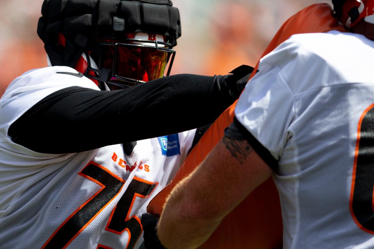 Cincinnati Bengals tackle Isaiah Prince (71) rushes into the