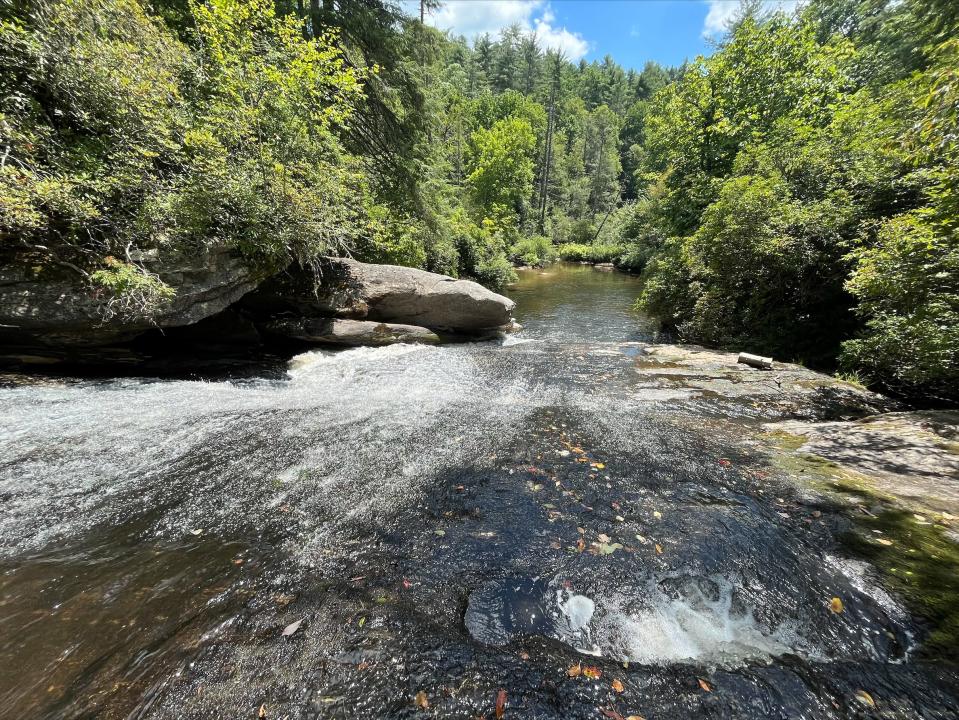 The Southside area of Nantahala National Forest is a subject of a lawsuit brought by five conservation groups.