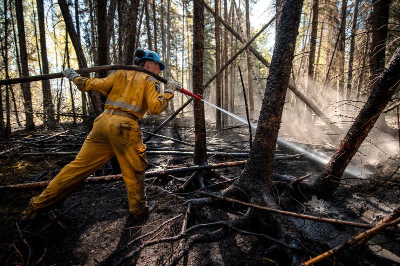 FILE PHOTO: A Canadian Forces member from 41 Canadian Brigade Group (CBG) extinguishes a hot spot while fighting wildfires in Drayton Valley