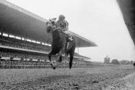 <p>Secretariat wins the Belmont Stakes in record time, becoming the first horse to win the Triple Crown since 1948.</p>