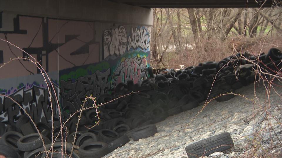 Miriam Diamond, a professor at the University of Toronto's school of the environment, said illegally dumping tires is harmful for the environment.  (Spencer Gallichan-Lowe/CBC - image credit)