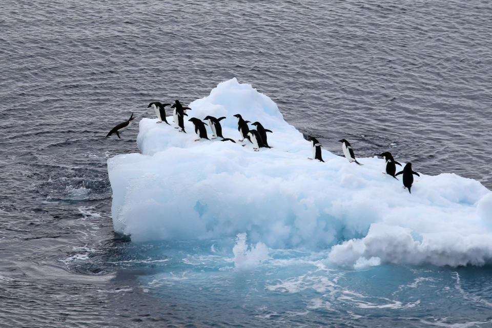 El calentamiento global está provocando deshielo y subidas del nivel del mar. (Getty Images).