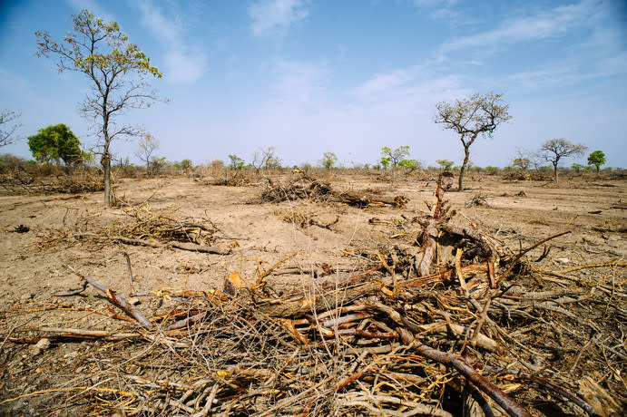 全球土地退化嚴重。(photo by CIFOR on flickr under CC2.0)