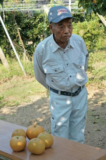 Tomio Kusano, a pear farmer in Iwaki on the Fukushima coast, has struggled enormously as demand for his products dropped after the disaster