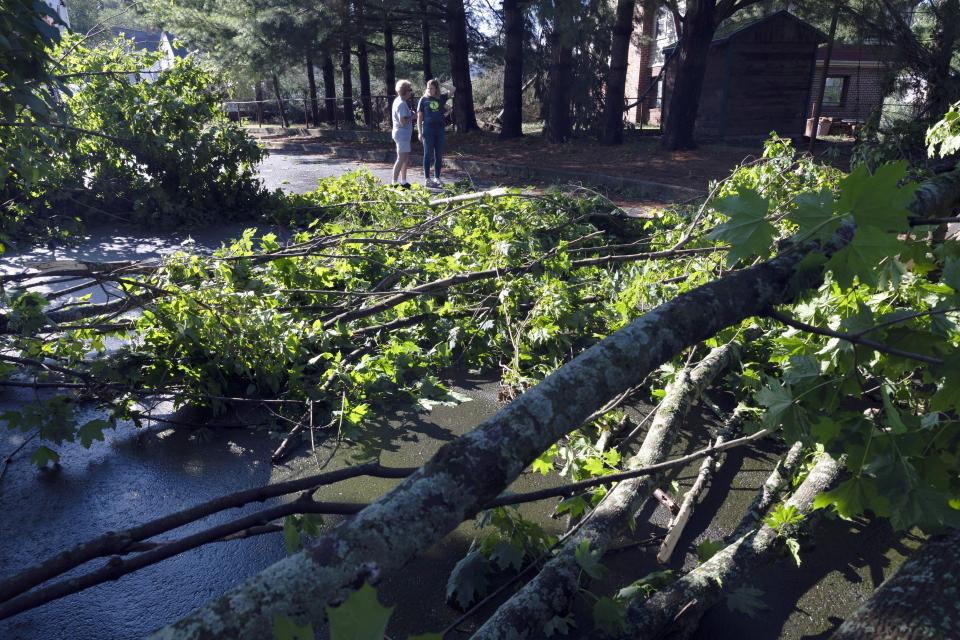 Fallen trees block the road in a residential neighborhood, Friday, Aug. 18, 2023, in Johnston, R.I., after severe weather swept through the area. (AP Photo/Michael Dwyer)