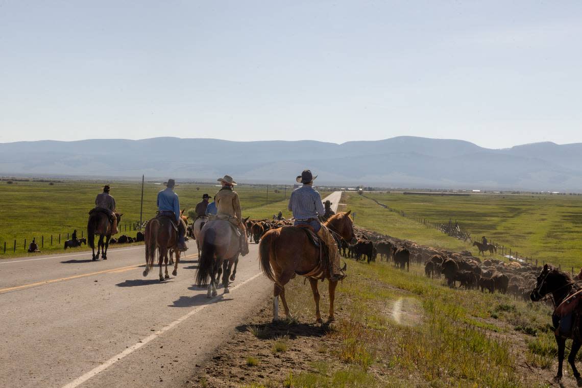 Yellowstone Ranch cowboys help a neighboring ranch with cattle branding in Season 5, Episode 4 of “Yellowstone.”