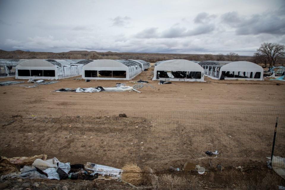 Dozens of abandoned hemp hoop houses in Shiprock, New Mexico, sit empty in 2020. Hemp and marijuana were being cultivated on the Navajo Nation, where both are illegal.