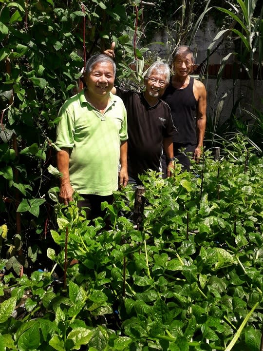 Harry Lee (in green) and his neighbours at their community garden at Mayfair Gardens