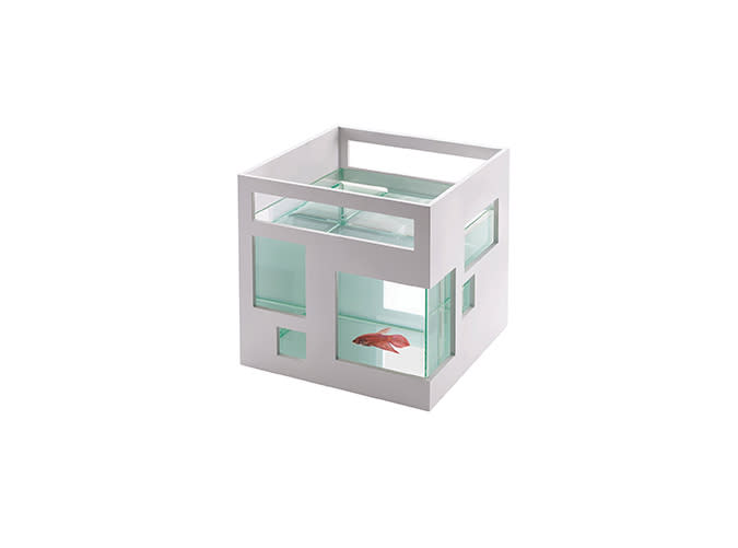 Mini Aquarium