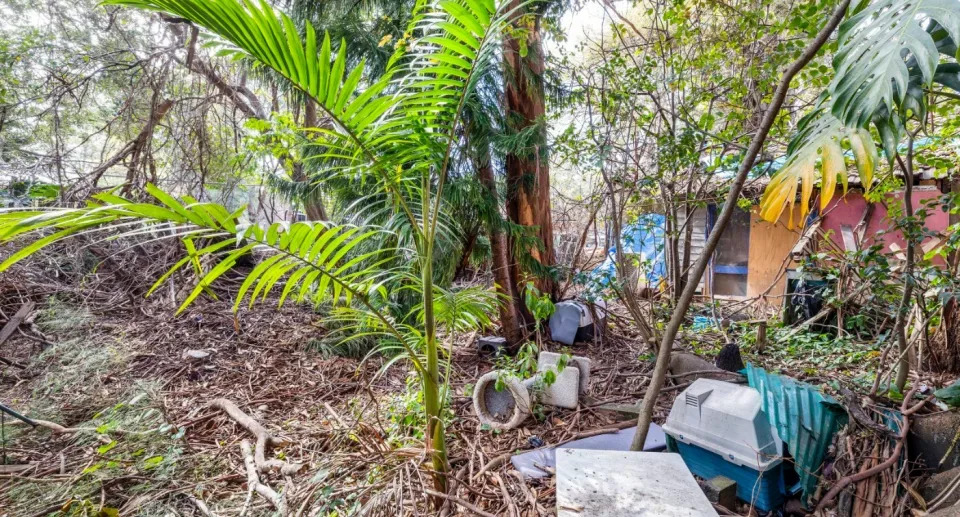 The backyard appears to be overgrown and filled with junk.