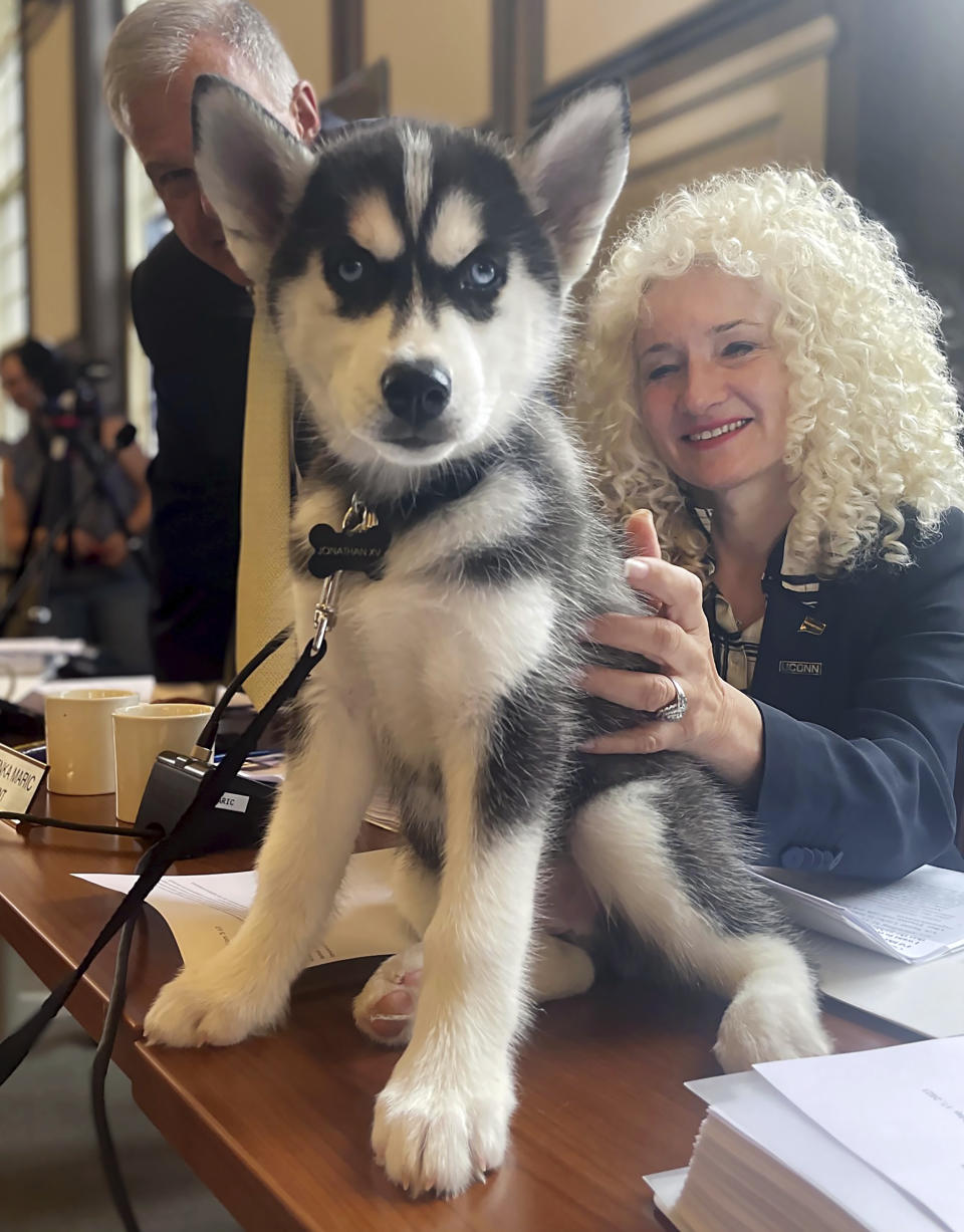 University of Connecticut President Radenka Maric, right, pets Jonathan XV, a 2-month old Siberian husky who will take over as the official UConn Husky mascot this fall, Wednesday, June 28, 2023, in Storrs, Conn. The puppy is living with the same host family as UConn's current mascot, Jonathan XIV, and being trained for his new duties, which include appearing at sporting and other on-campus events and doing social media promotions. (AP Photo/Pat Eaton-Robb)