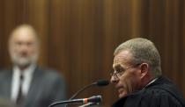 State prosecutor Gerrie Nel (R) questions defense expert witness Roger Dixon (L) during the murder trial of South African Olympic and Paralympic athlete Oscar Pistorius in the North Gauteng High Court in Pretoria April 17, 2014. Pistorius is on trial for murdering his girlfriend Reeva Steenkamp at his suburban Pretoria home on Valentine's Day last year. REUTERS/Themba Hadebe/Pool (SOUTH AFRICA - Tags: SPORT CRIME LAW ATHLETICS)