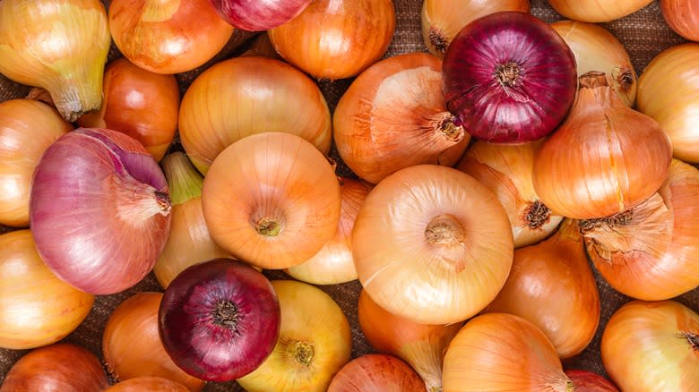 Onion varieties