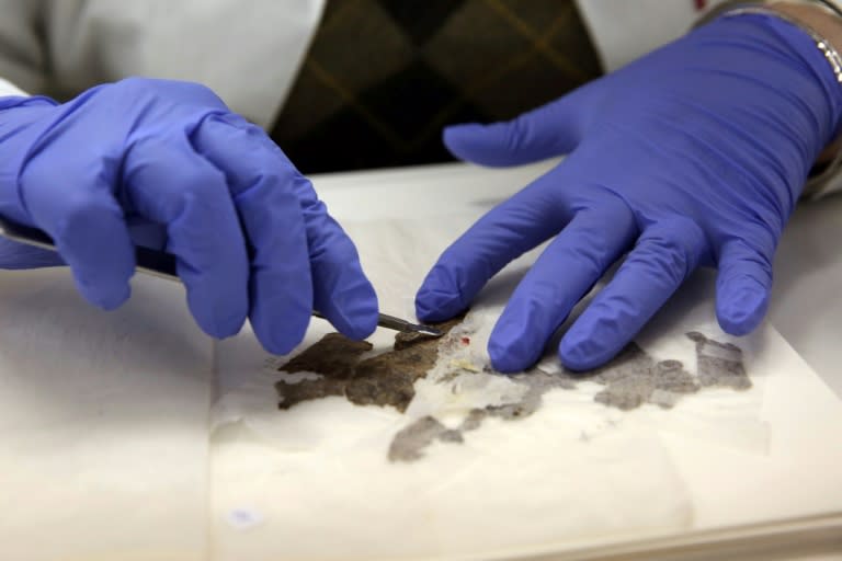 Tanya Treiger, a conservator at the Dead Sea Scrolls laboratory of the Israeli Antiquities Authority in Jerusalem, works on fragments of a Dead Sea Scroll on February 24, 2016