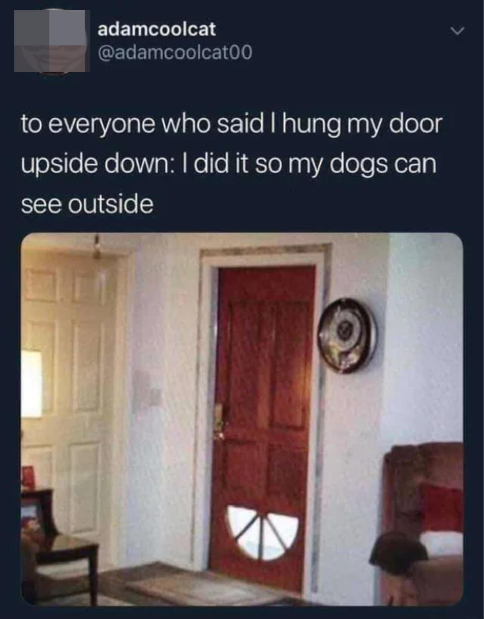 A door with the glass on the bottom, and someone says "to everyone who said I hung my door upside down: I did it so my dogs can see outside"