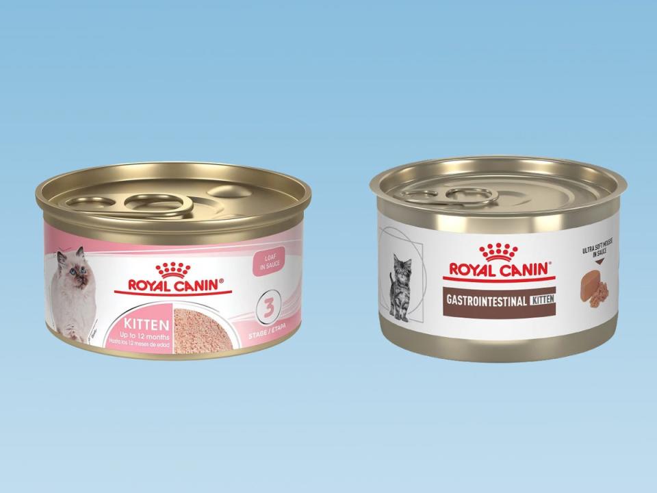 Two cans of Royal Canin cat foods for kittens with sensitive stomachs against a blue gradient background.