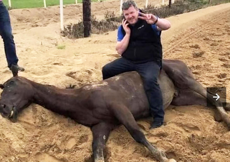 Gordon Elliott, pictured here sitting on the dead horse.