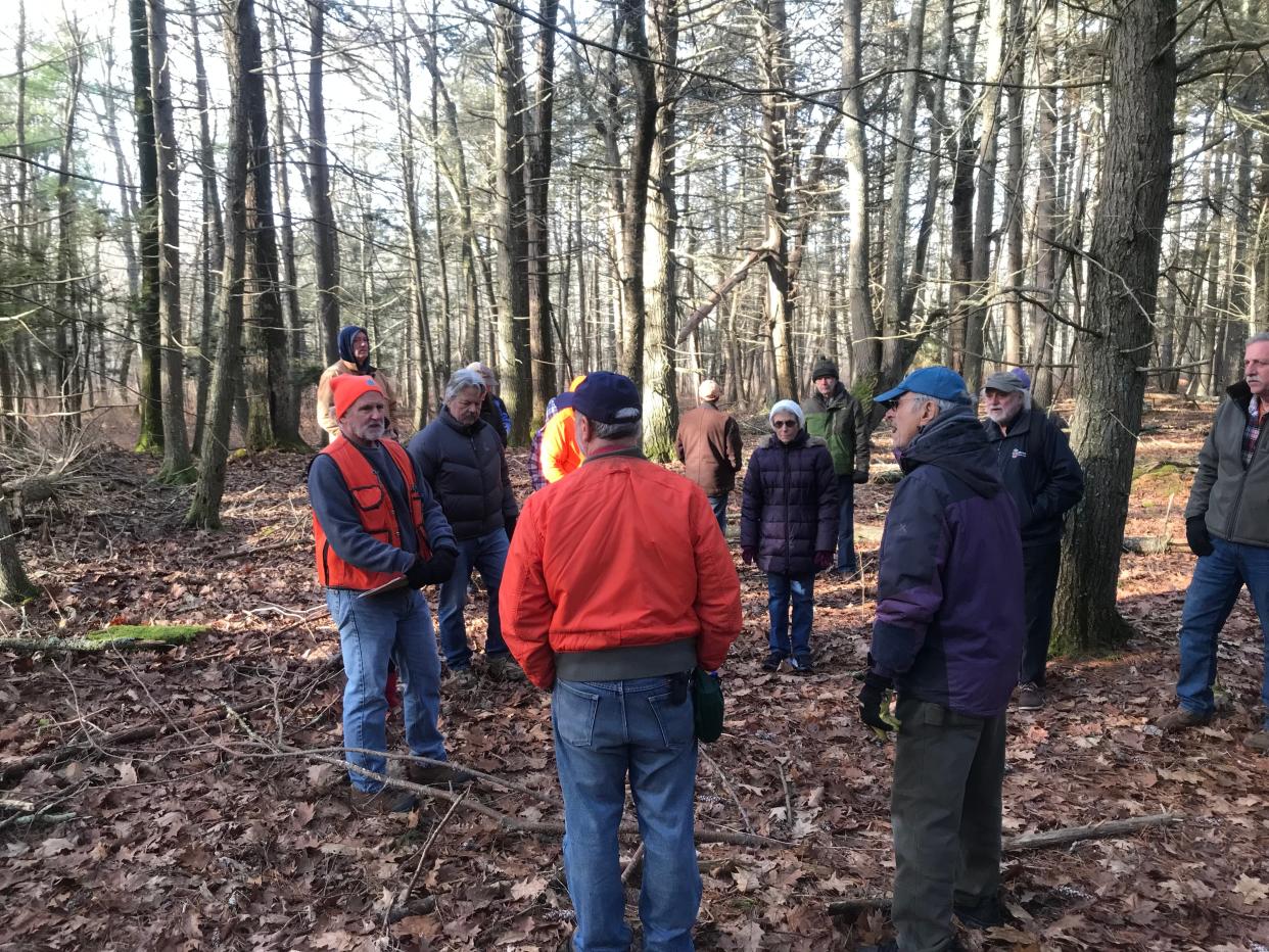 Robert MacMillan, far left, senior forest supervisor for the Providence Water Supply Board, explains the history of a heavily shaded forest of Eastern hemlocks along the Scituate Reservoir that has been undisturbed for years.