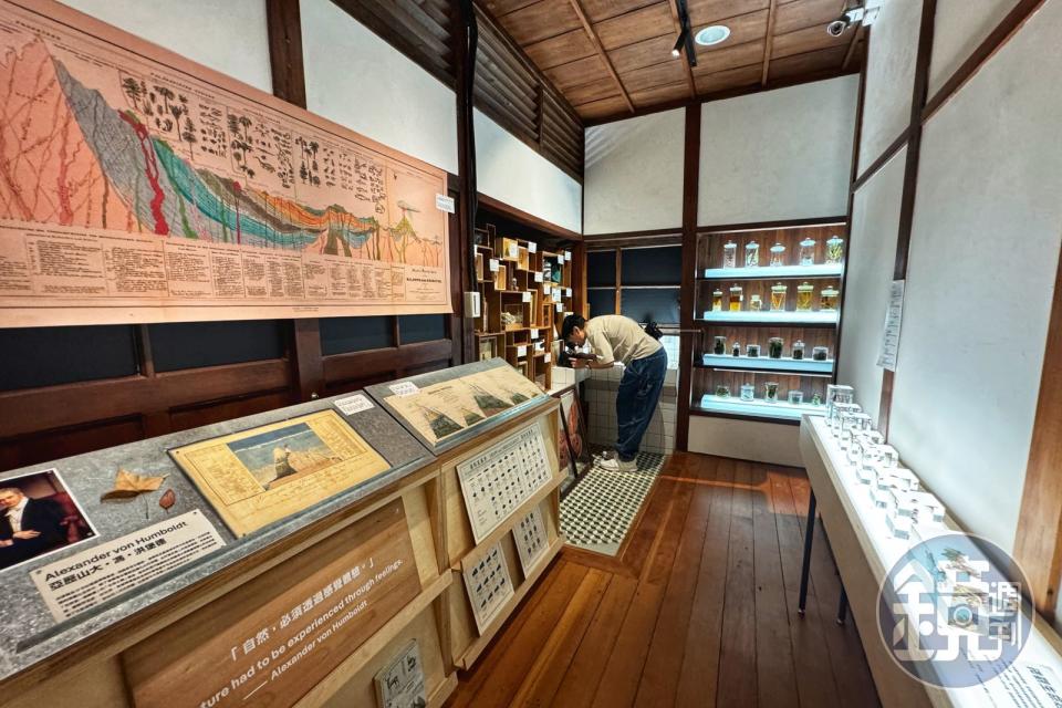「m²」微型展引入許多台灣大學植物標本館的許多學術資源，就像是一座小型博物館。