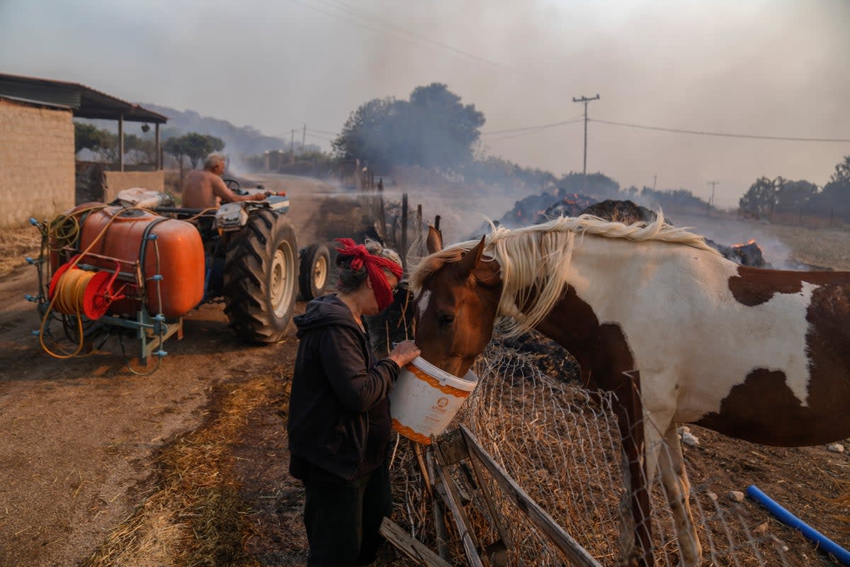 A woman gives water to her horse as her husband on a tractor tries to extinguish the fire with a hose near Loutraki (AP)