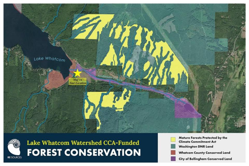 Yellow areas of a map show wooded areas aove the south end of Lake Whatcom that are protected from timber harvesting inside a larger tract of state land that is open for logging.