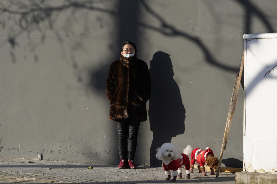 A woman wearing mask to help protect herself from the coronavirus stands in the sun as she walks her dogs in Beijing on Friday, Jan. 8, 2021. With next month's Lunar New Year travel rush looming, the government is telling people to stay put as much as possible and not travel to or from the capital Beijing. (AP Photo/Ng Han Guan)