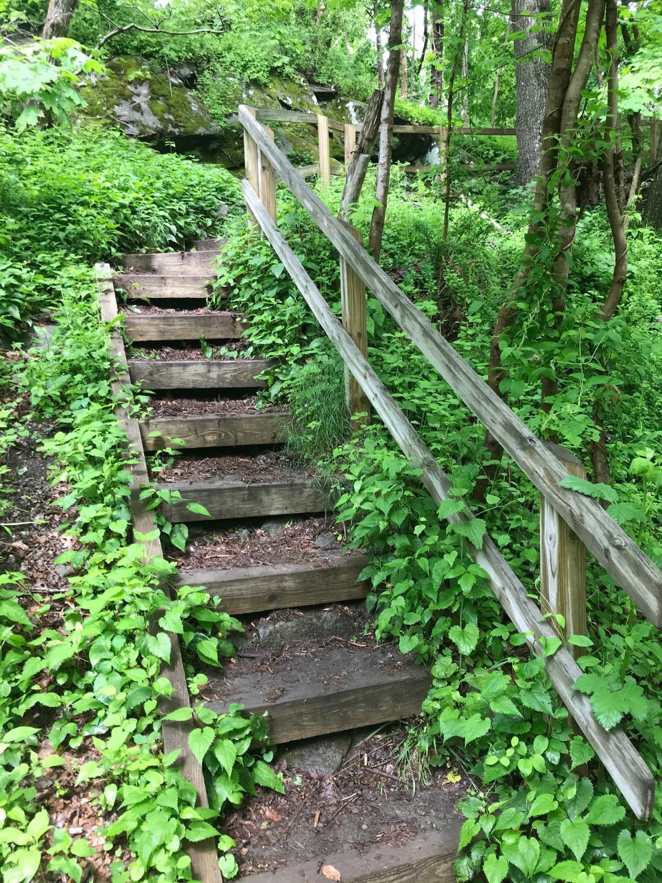 Steep wooden steps descend from High Hill to the trails through Fort Barton Woods.