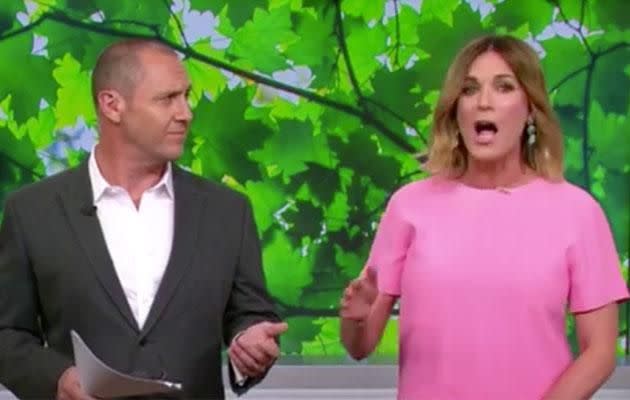 TV host Kylie Gillies was not happy to hear Joe Hockey was using taxpayers' money to pay for his babysitting bills. Photo: Channel 7