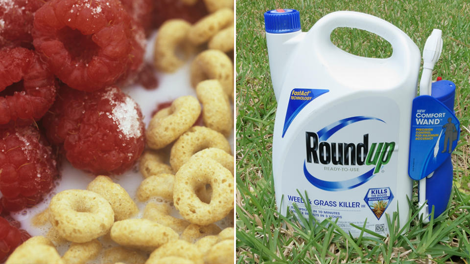 Cereal with berries and a bottle of Roundup weed killer