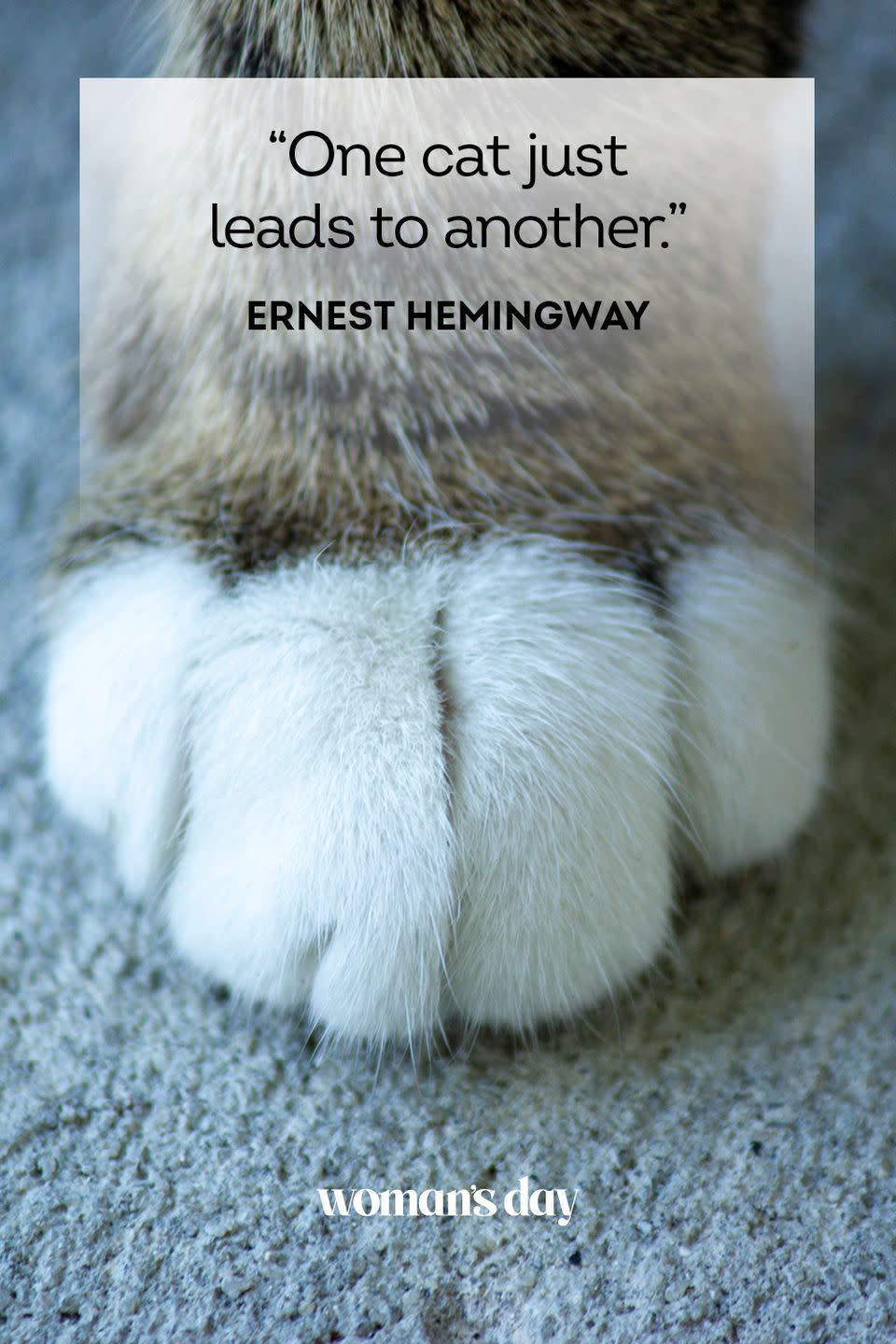 Ernest Hemingway