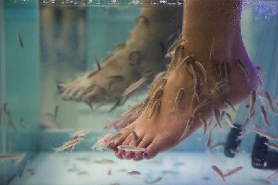 fish-pedicure