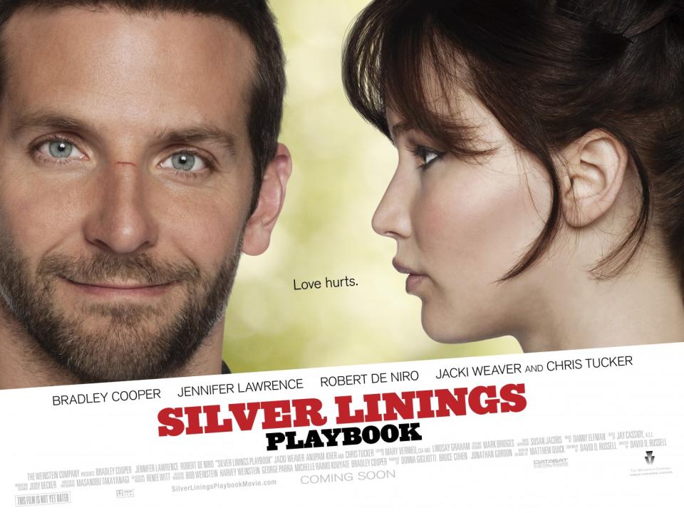 Silver Linings Playbook (Credit: The Weinstein Company/Film 4)