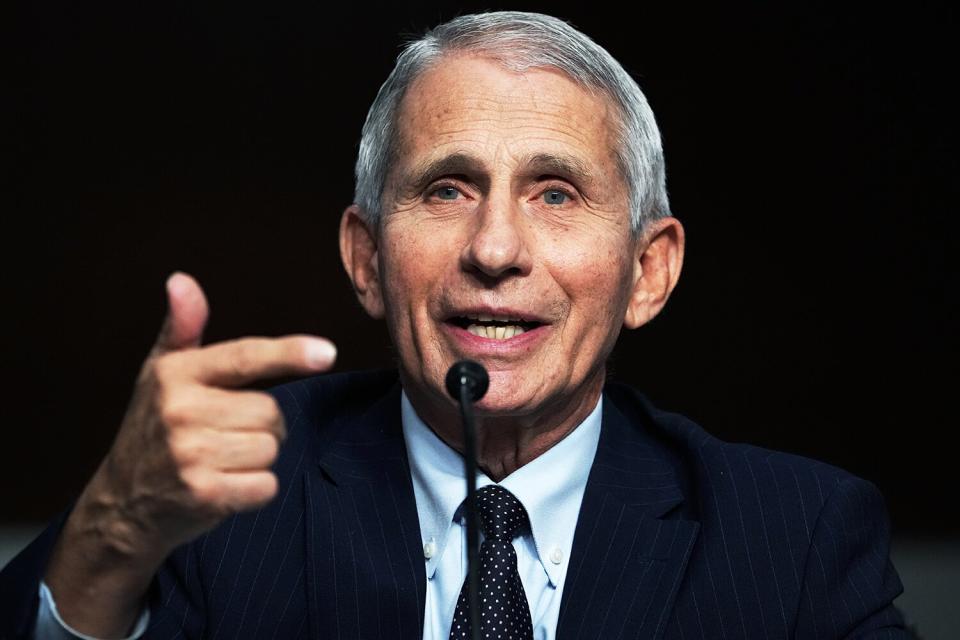 Dr. Anthony Fauci, director of the National Institute of Allergy and Infectious Diseases