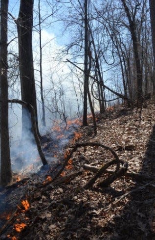 Prescribed burns, like this one on Crowders Mountain in 2019, are conducted to prevent wild fires and promote new vegetation growth.