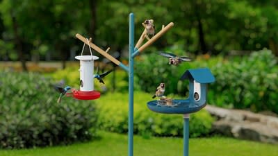 Bird Buddy's smart bird feeder snaps photos and identifies hummingbirds -  The Verge
