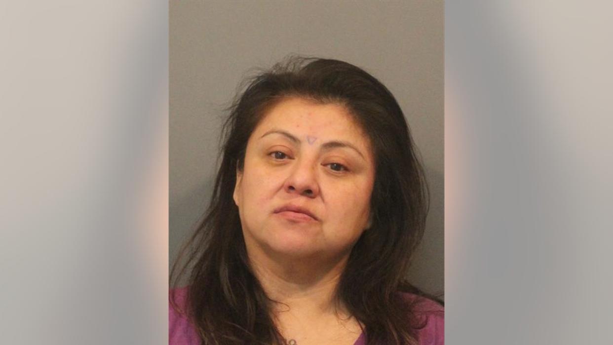 <div>Pictured is 48-year-old Ana Lidia Perez, of Grayslake.</div> <strong>(Lake County Sheriff's Office)</strong>