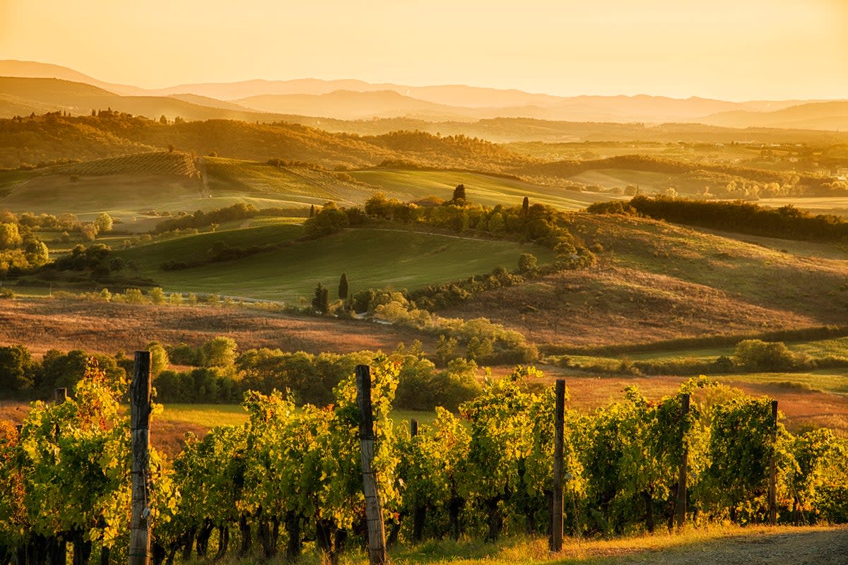 The Tuscan hills begin to change colour as autumn arrives in early October (Getty Images/iStockphoto)