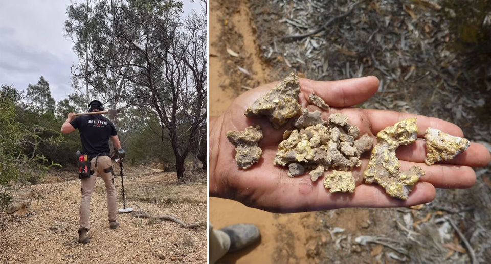 Left - James out prospecting with his tools in the bush. His back is to the camera. Right - a hand holding heaps of small gold pieces.