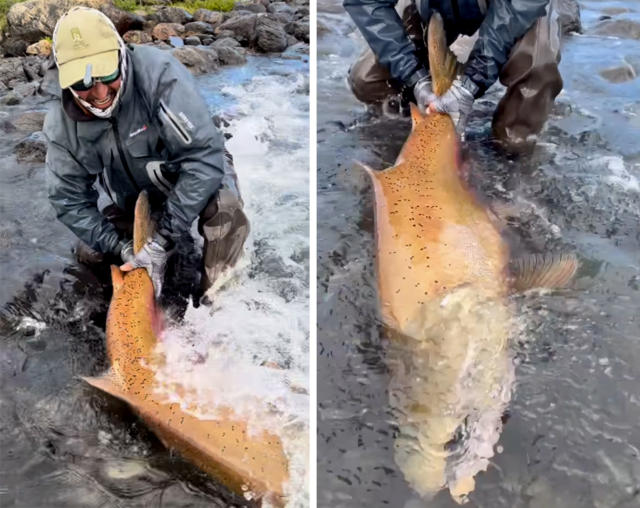 Watch: 'Absolute Beast' of a King Salmon Proves Why the Next World Record  Will Come from Argentina