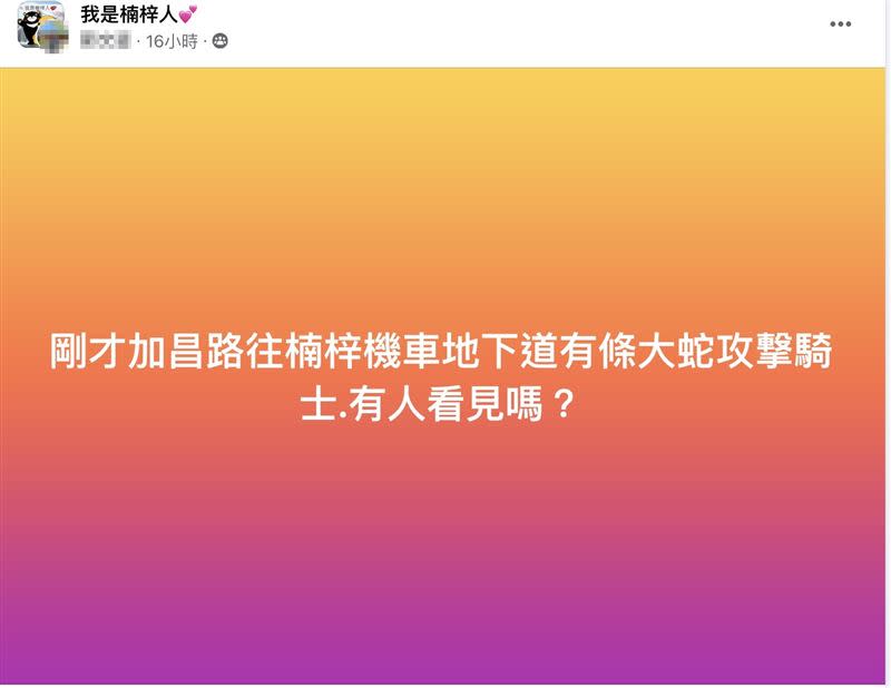 有網友指出，高雄楠梓機車道出現大蛇攻擊騎士事件。（圖／翻攝我是楠梓人）